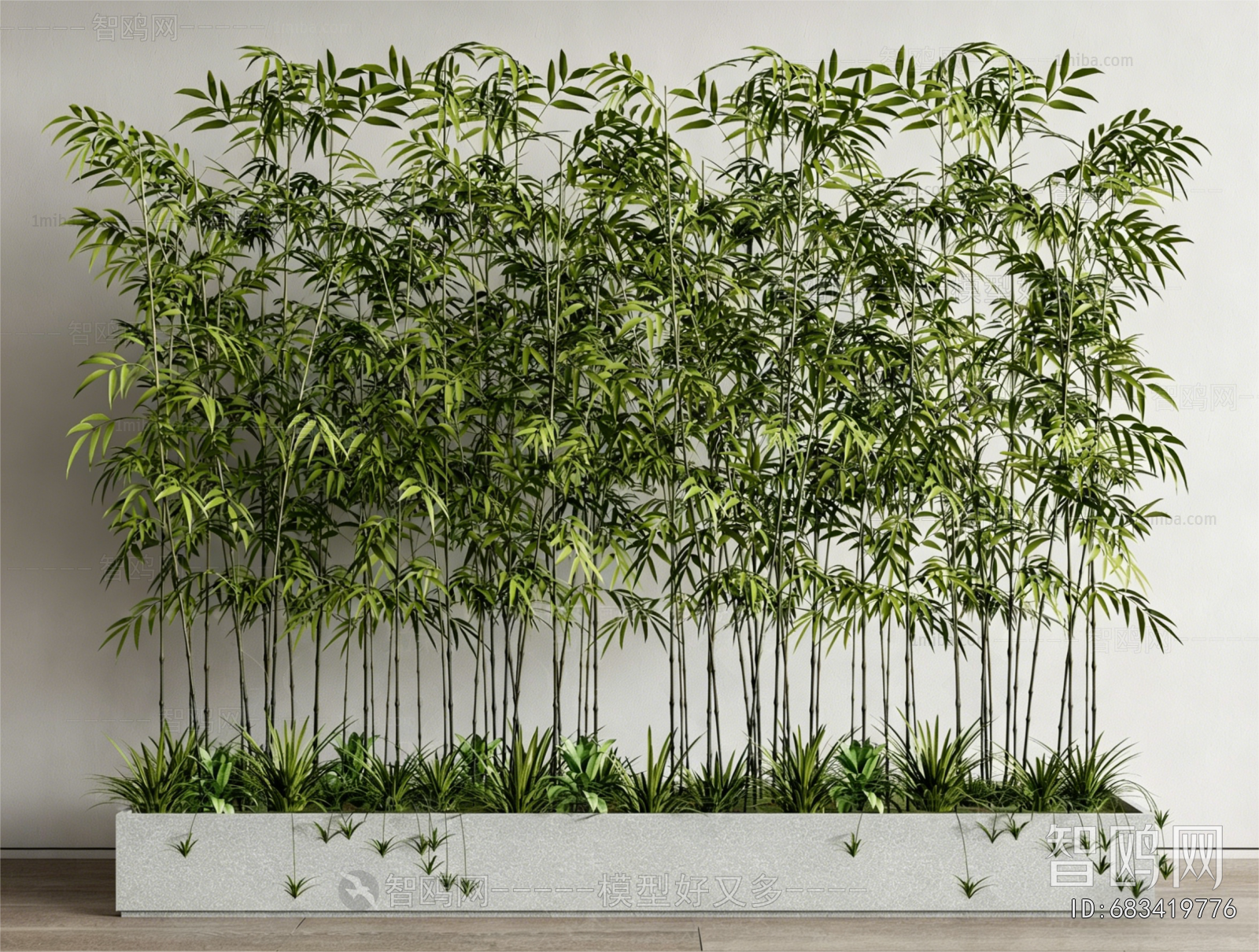 Modern Plant Landscaping