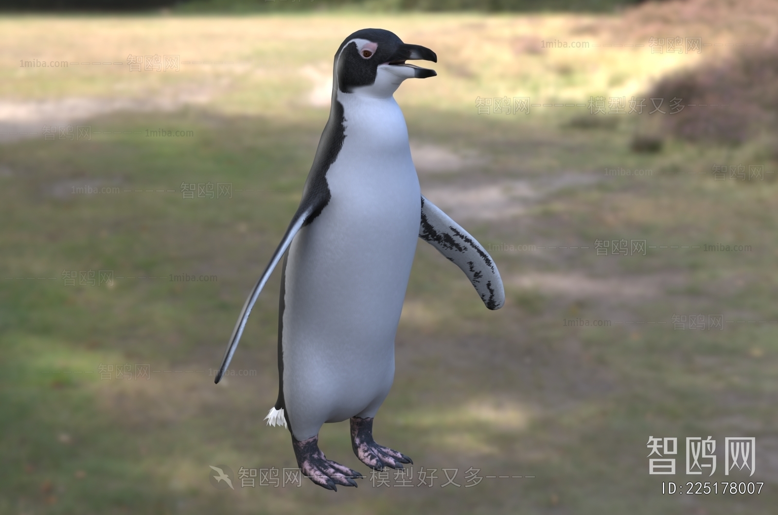 Modern Poultry Animal