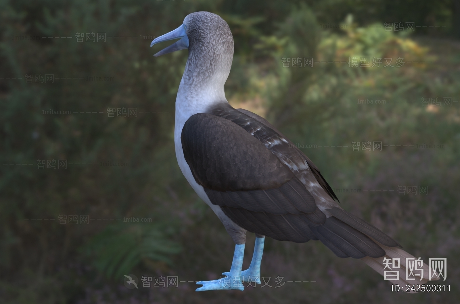 Modern Poultry Animal
