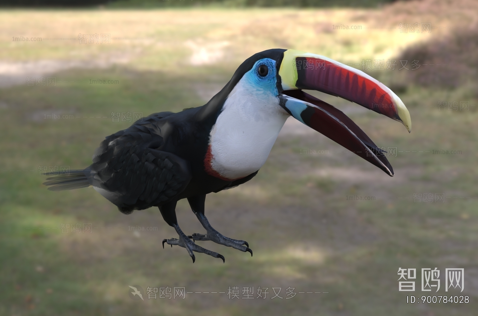 Modern Flying Animals
