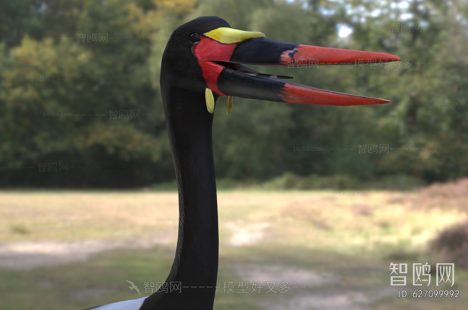 Modern Flying Animals