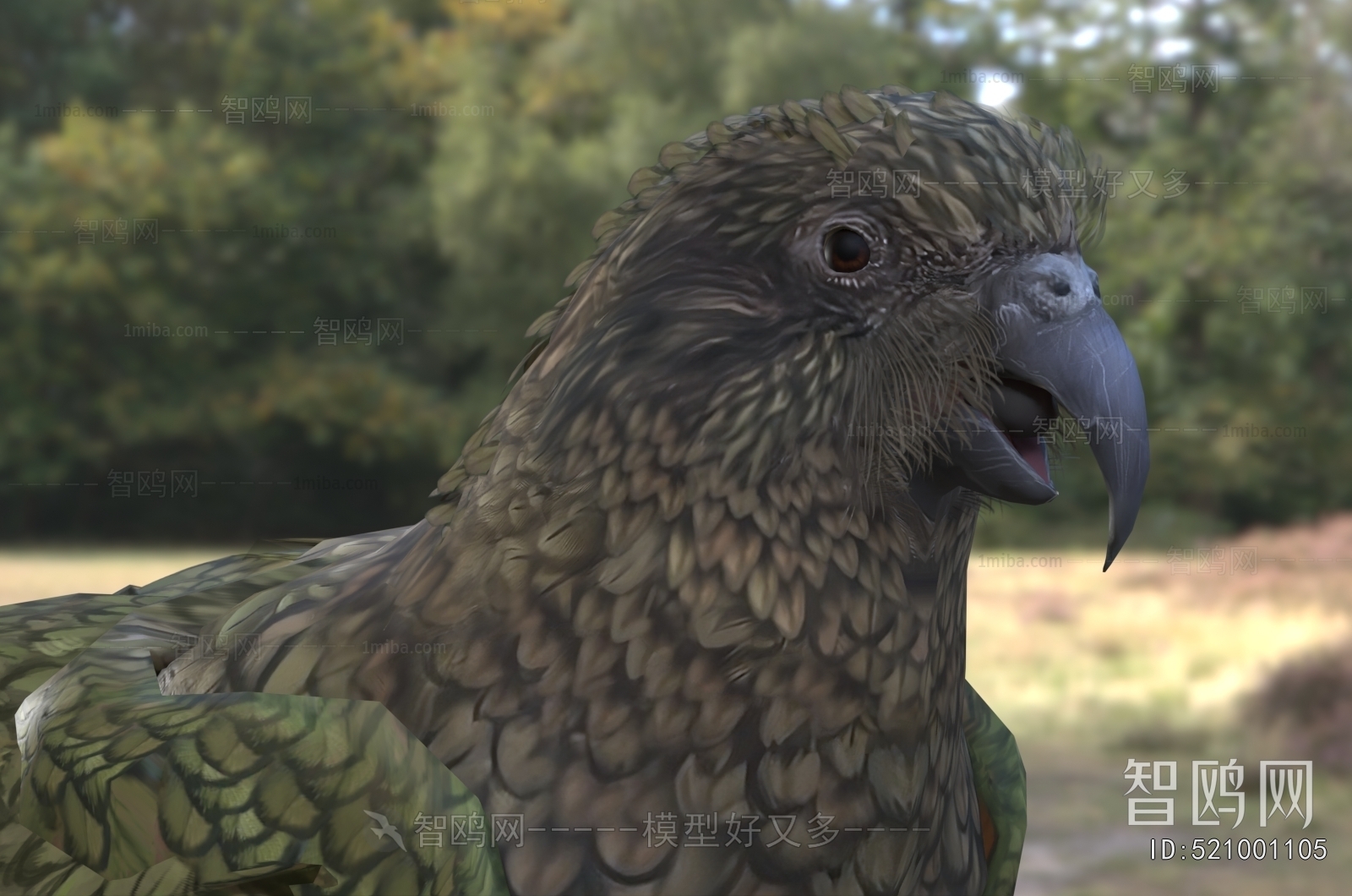 Modern Flying Animals