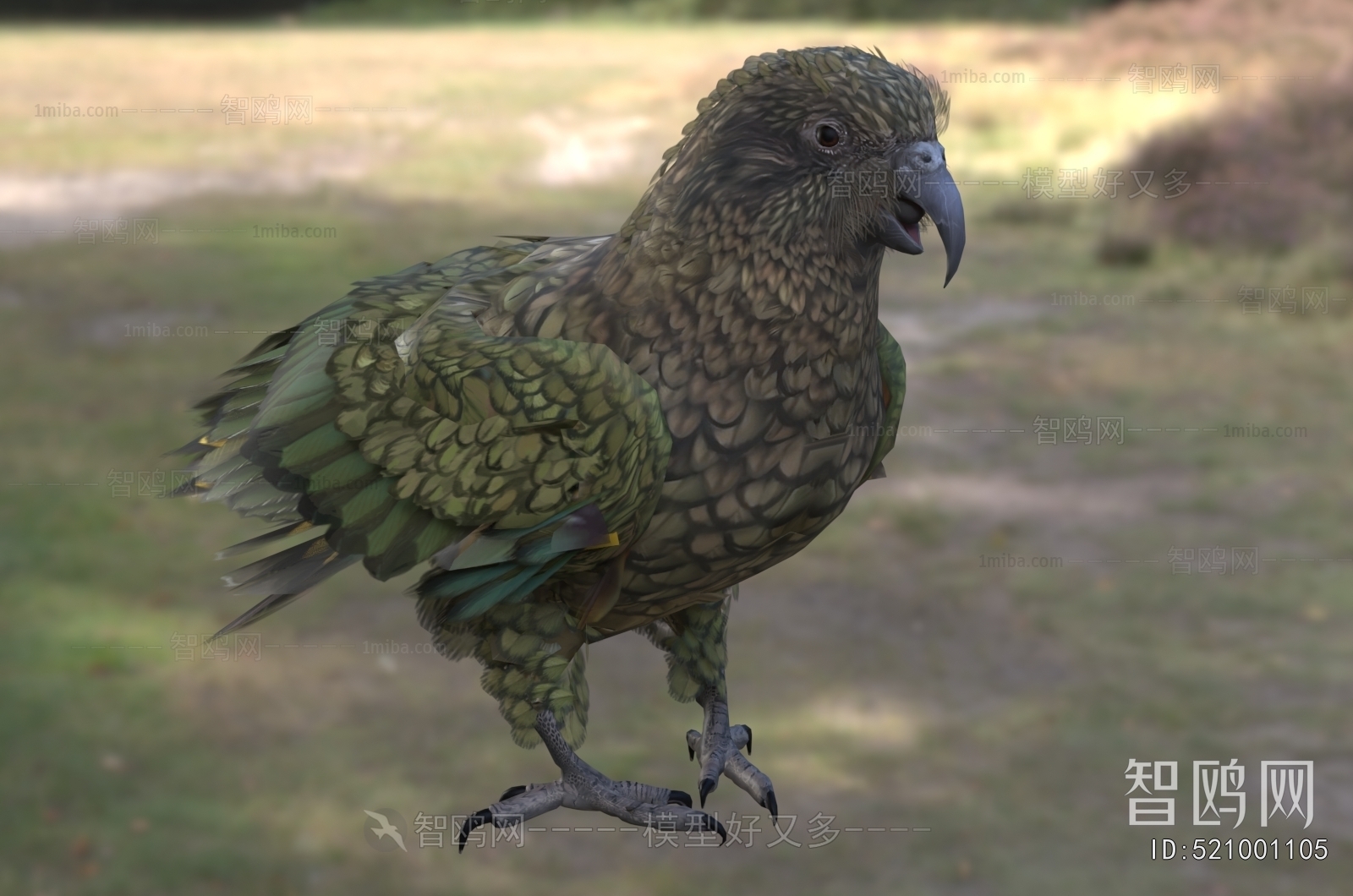Modern Flying Animals