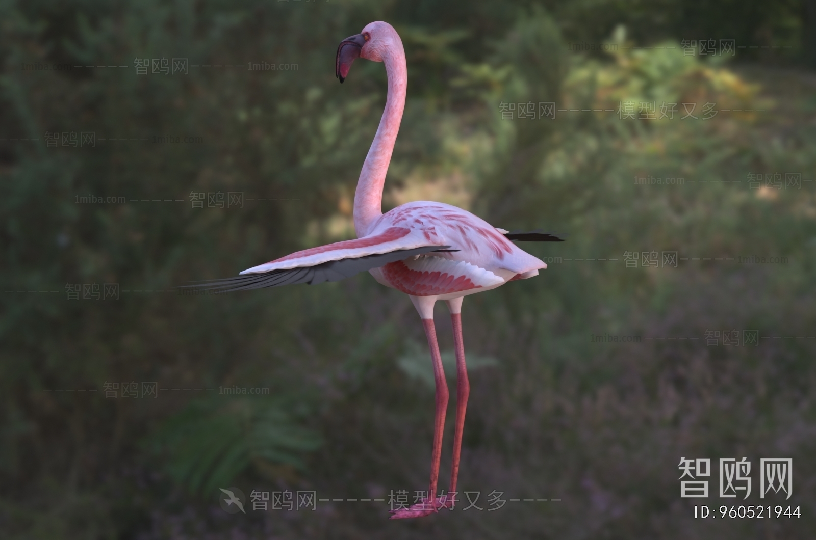 Modern Flying Animals