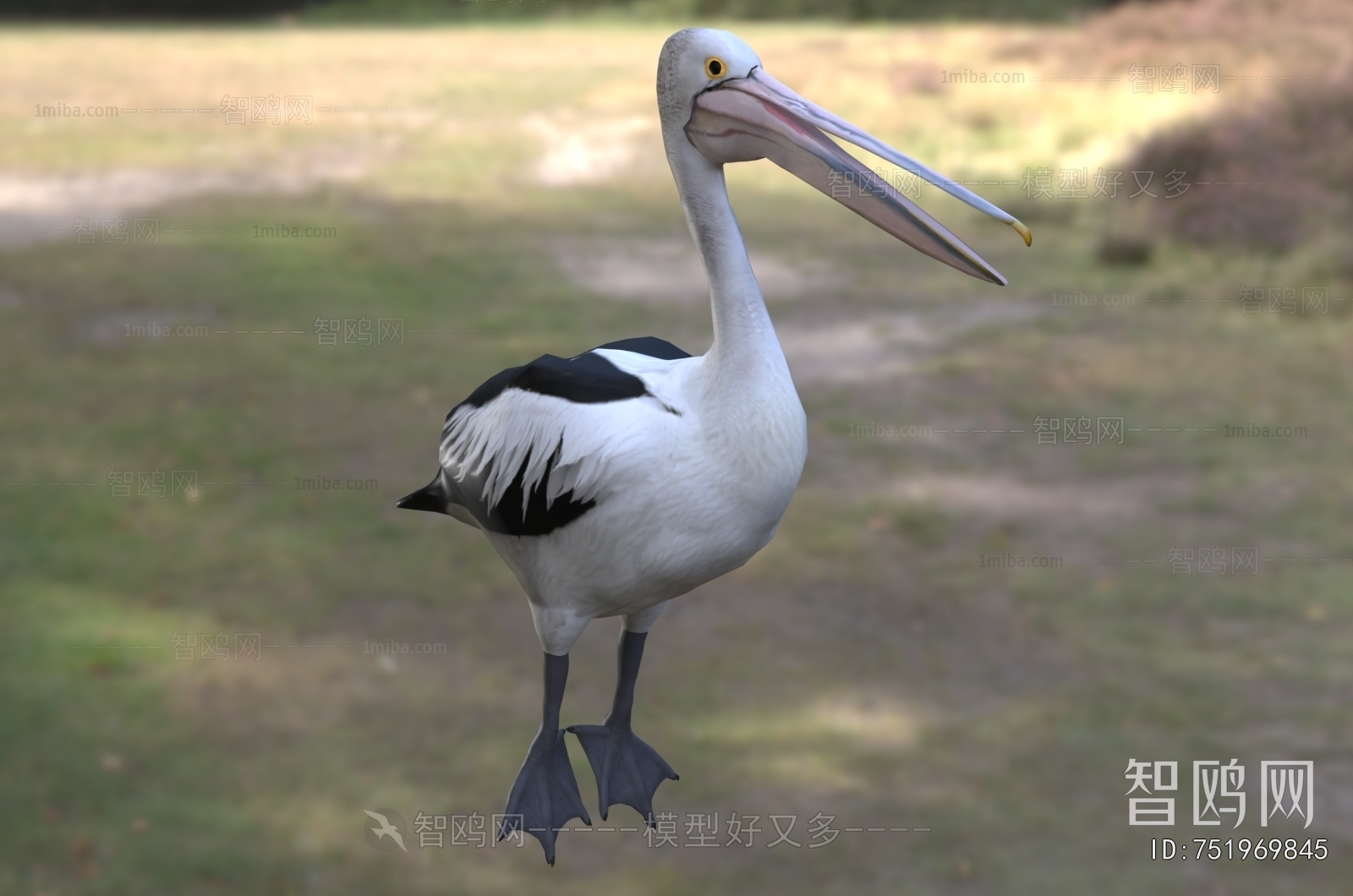 Modern Flying Animals