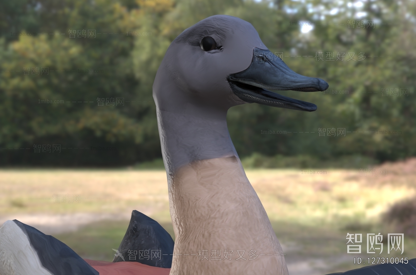 Modern Poultry Animal