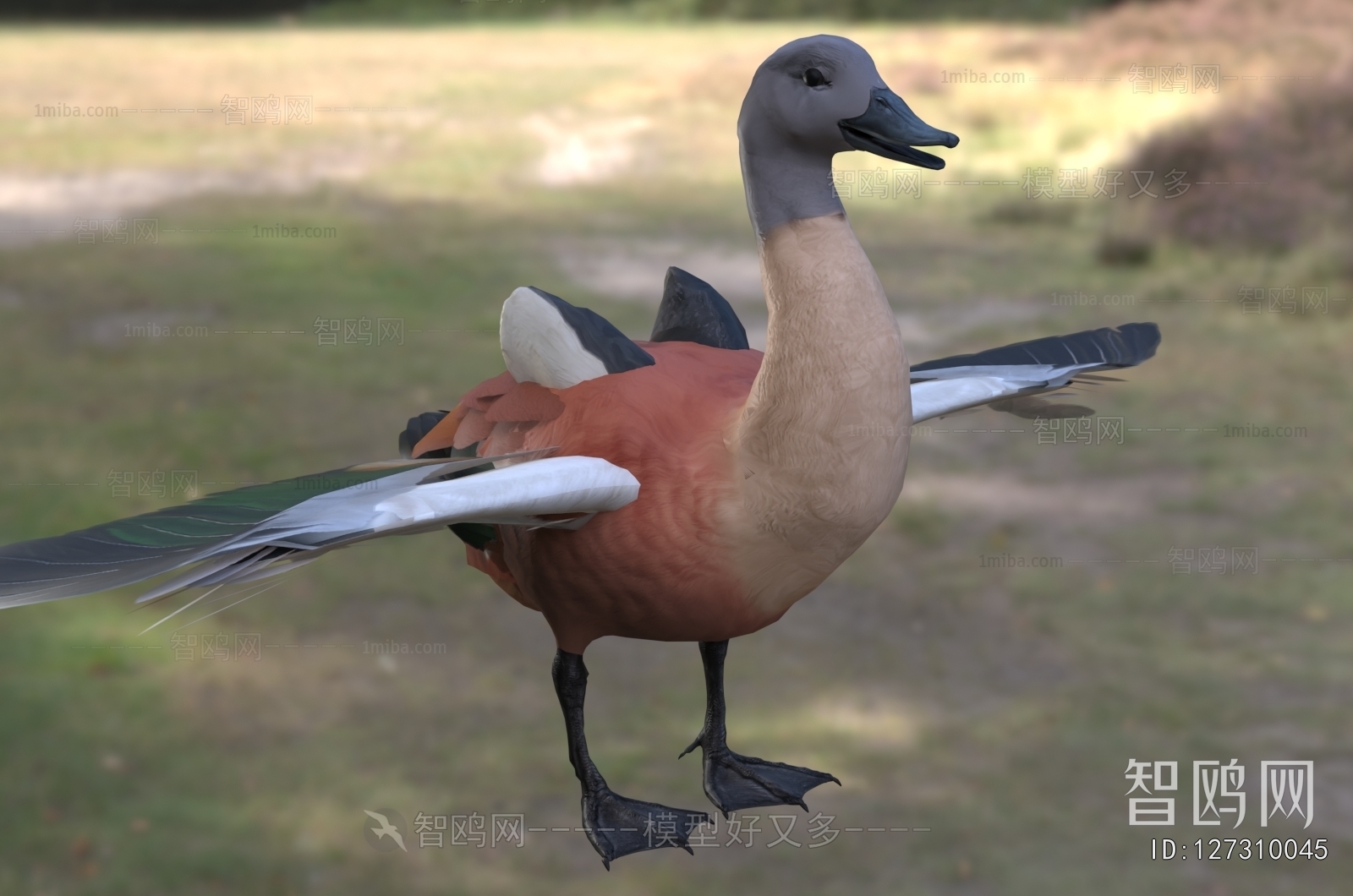 Modern Poultry Animal
