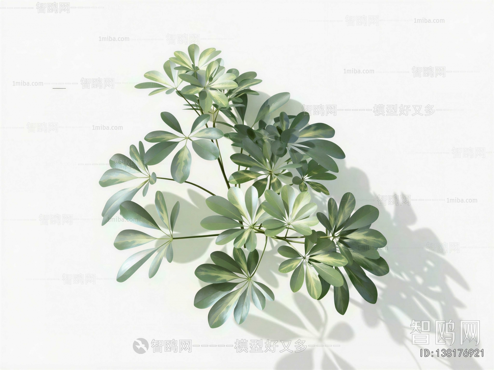 Modern Plant