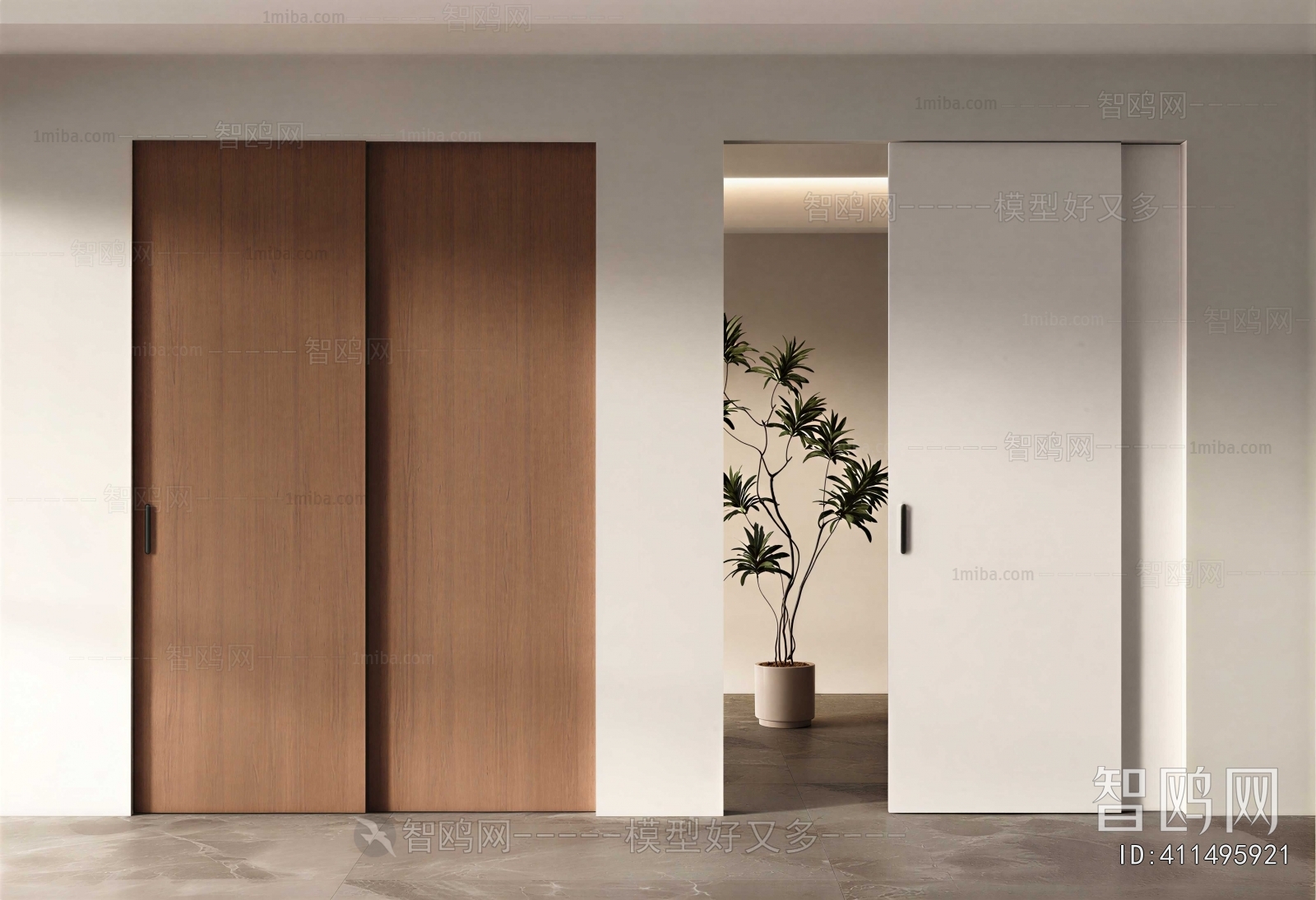 Modern Door