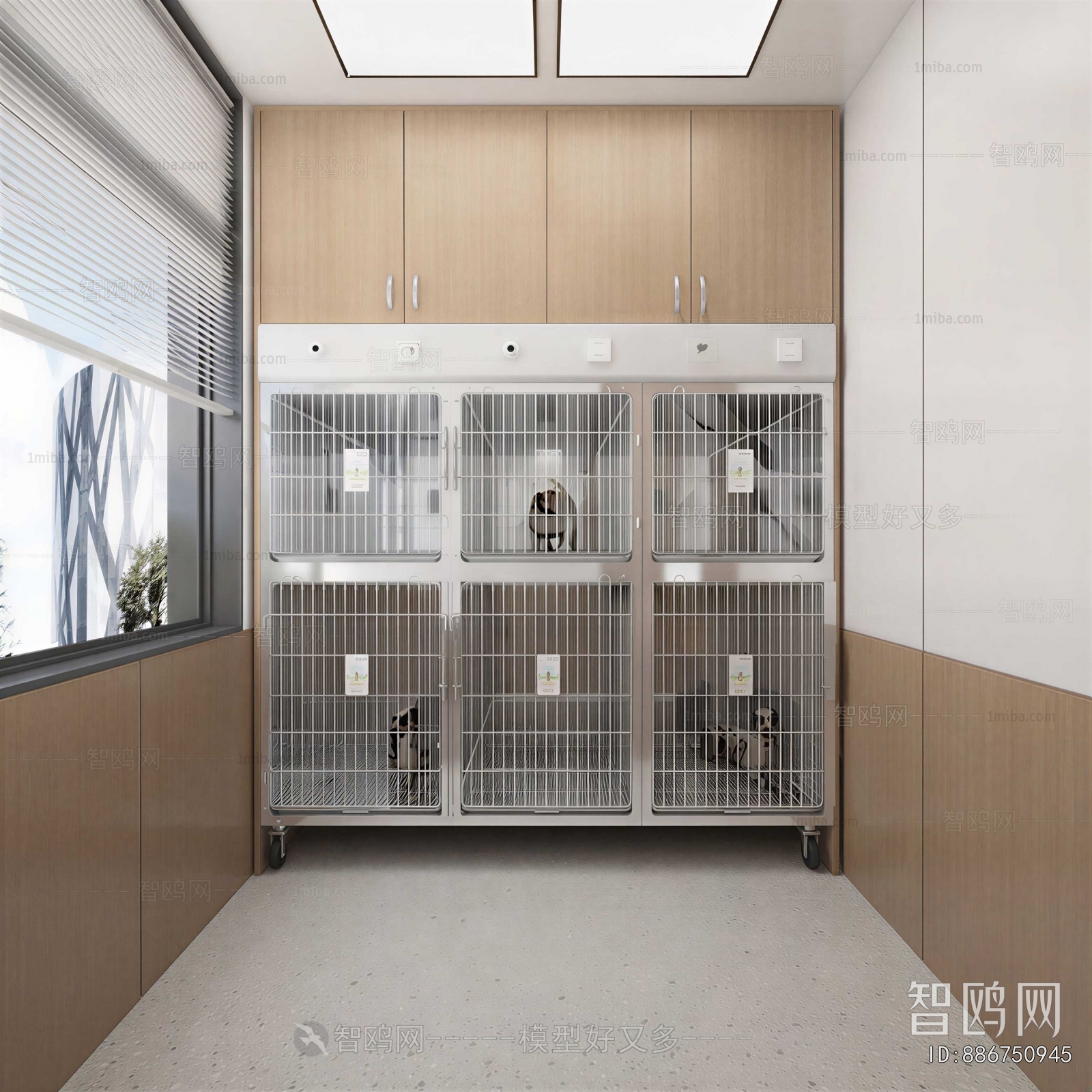 Modern Pet Products