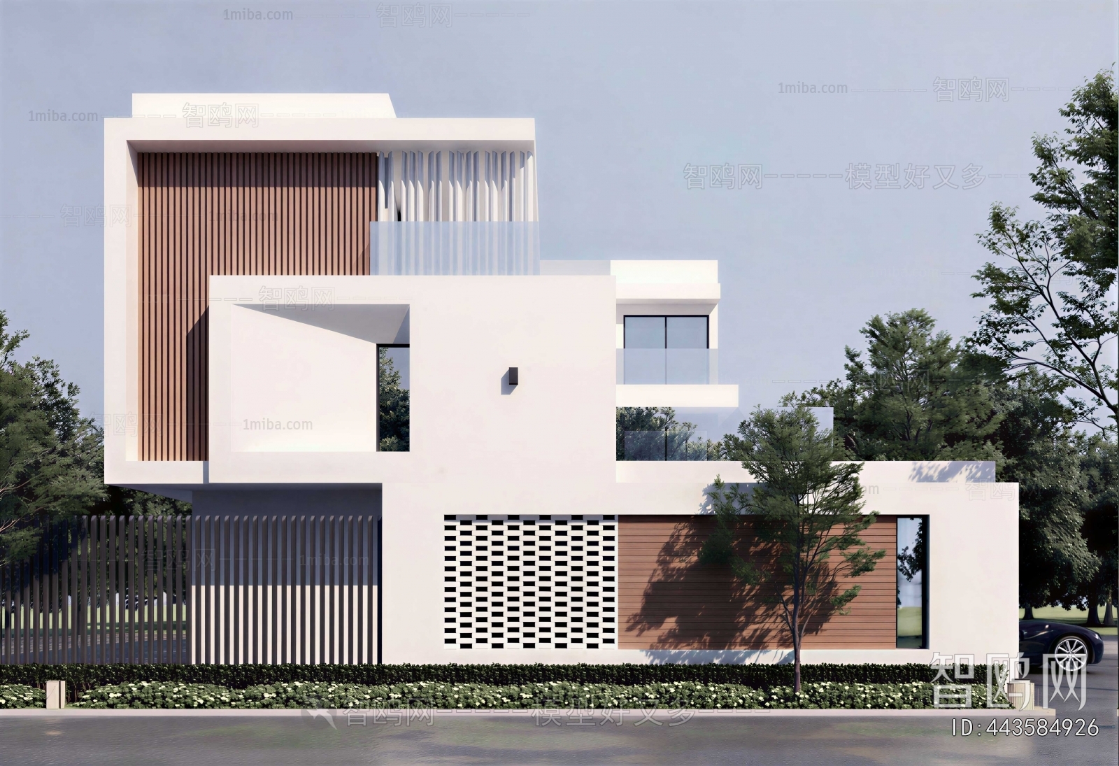 Modern Villa Appearance