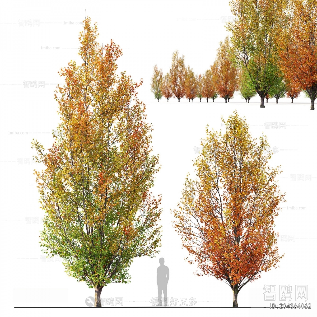 Modern Tree