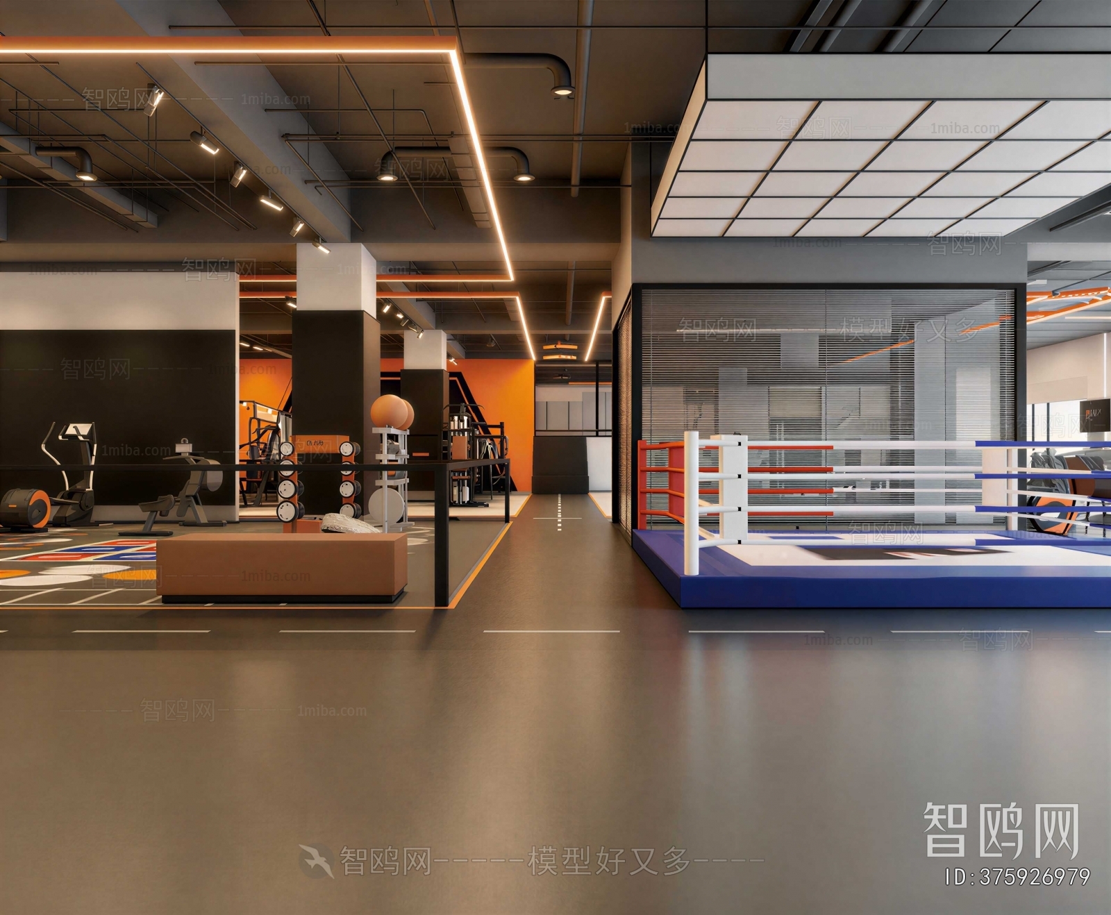 Modern Gym