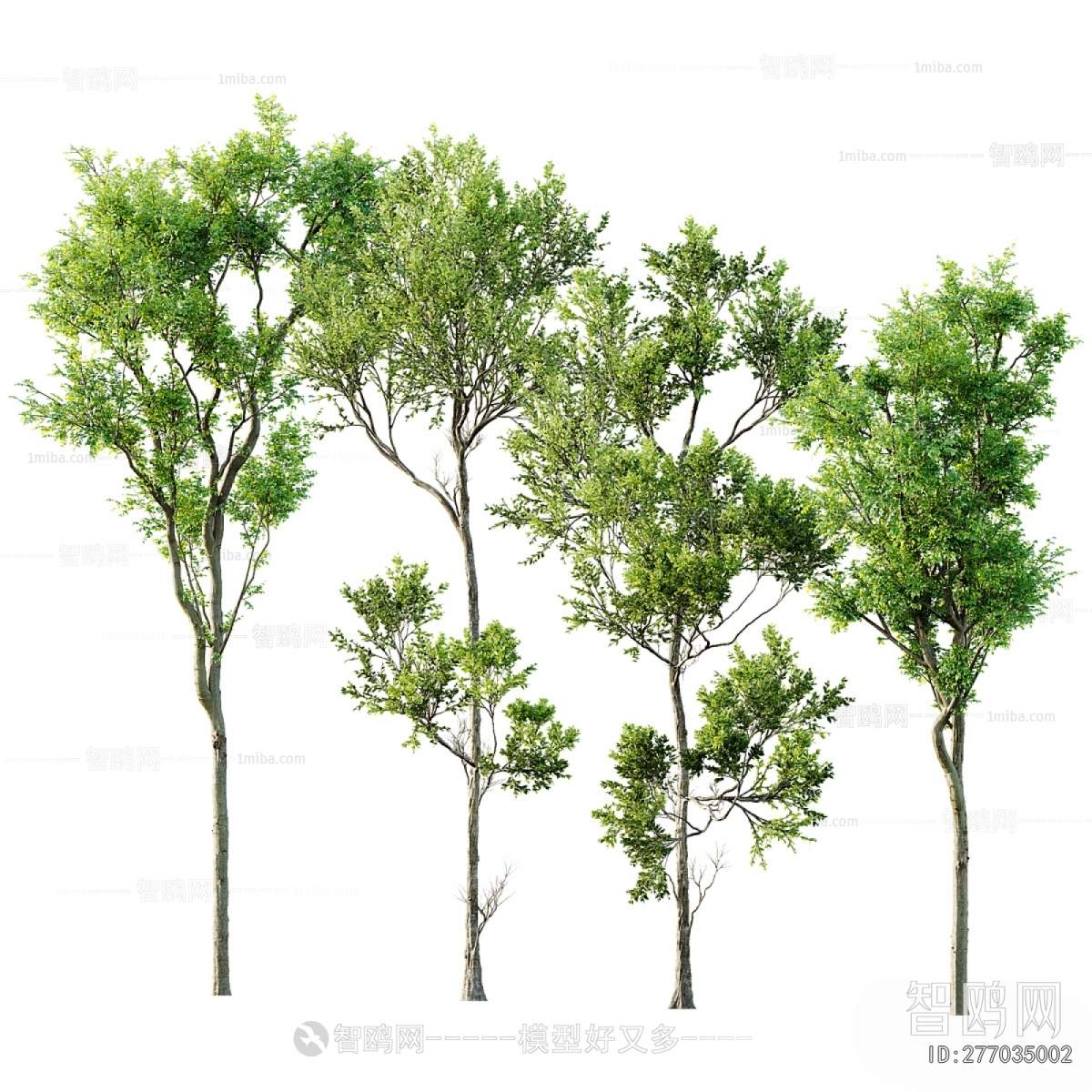 Modern Tree