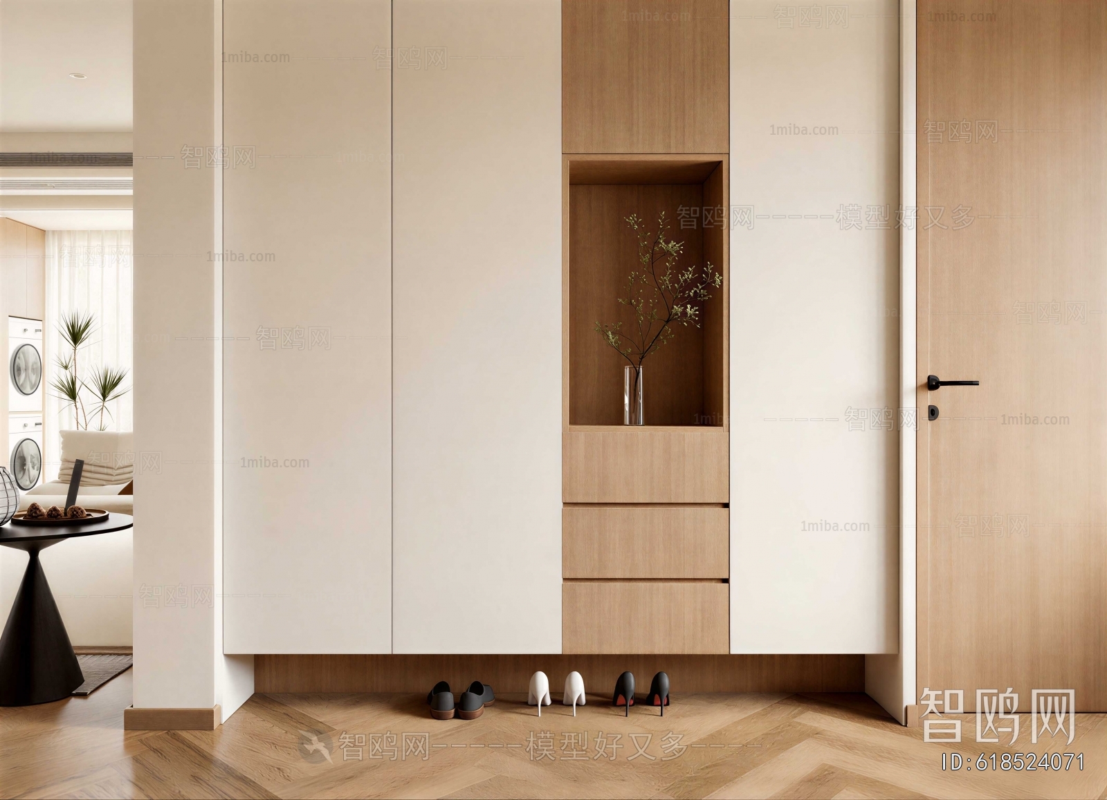 Modern Shoe Cabinet