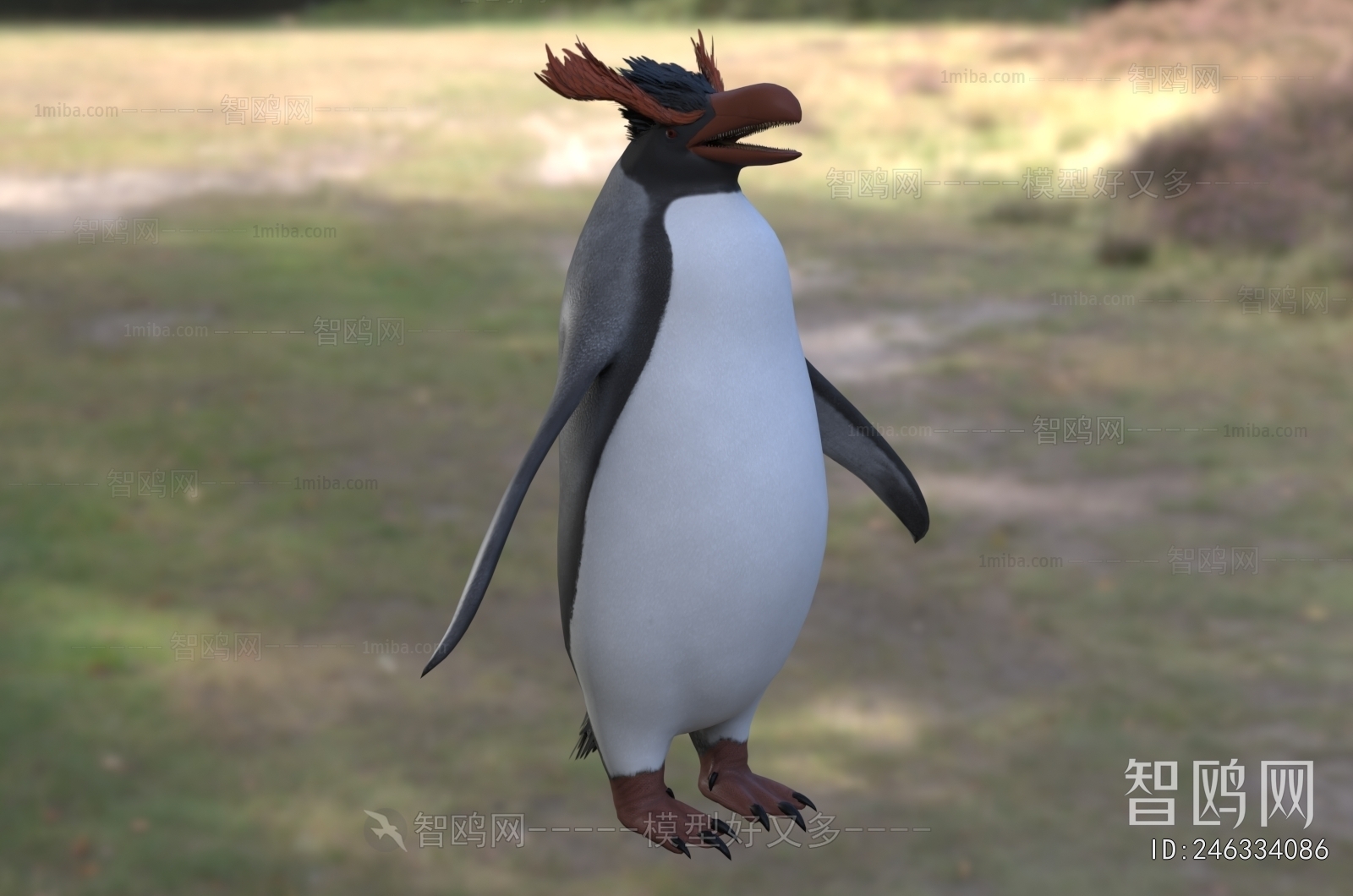 Modern Aquatic Animals