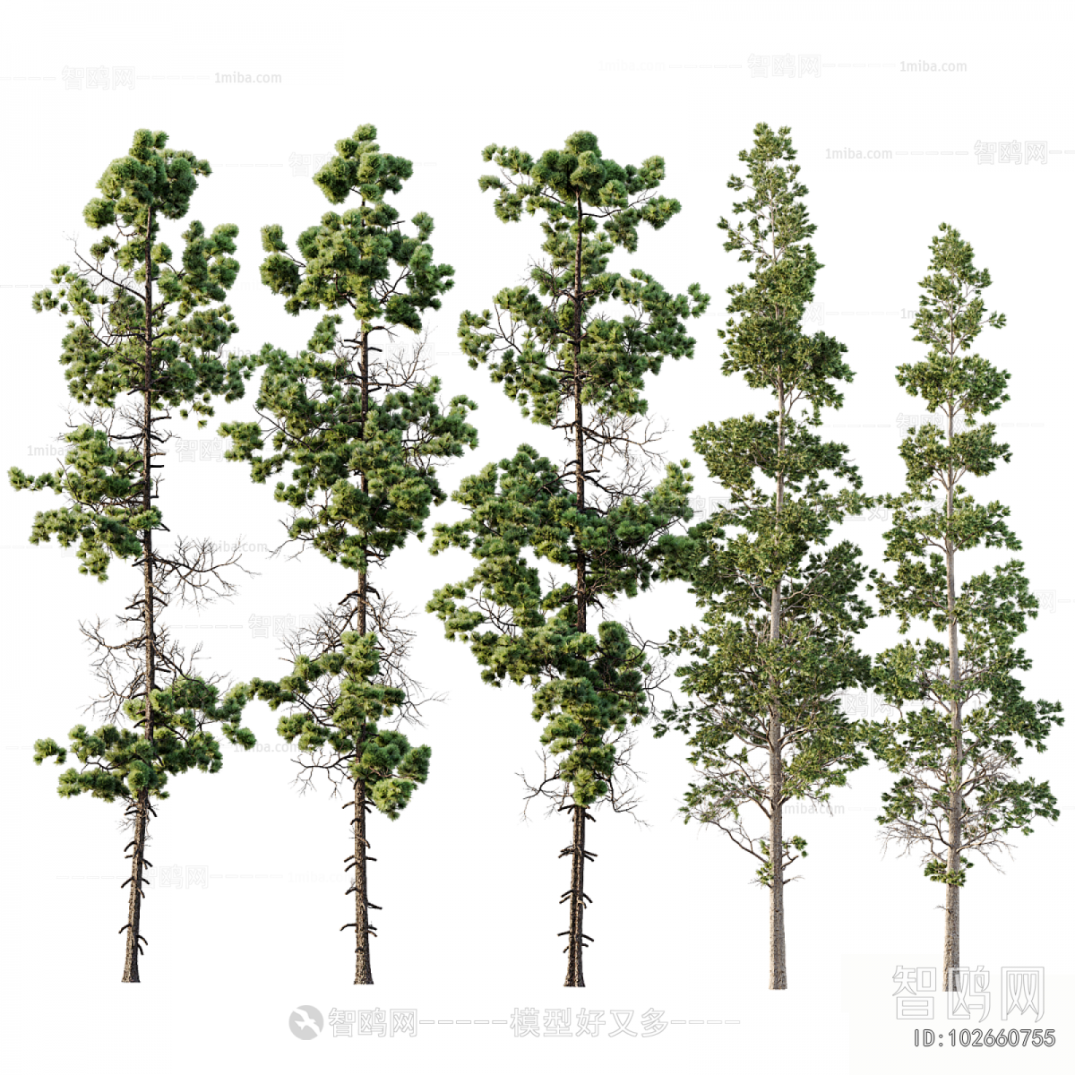 Modern Tree