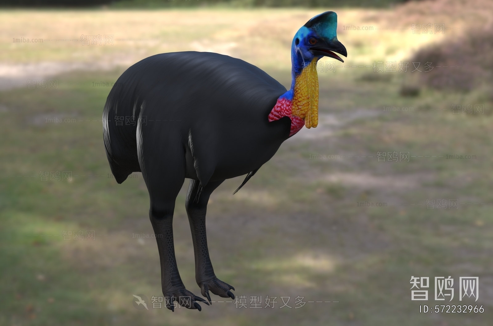Modern Animal