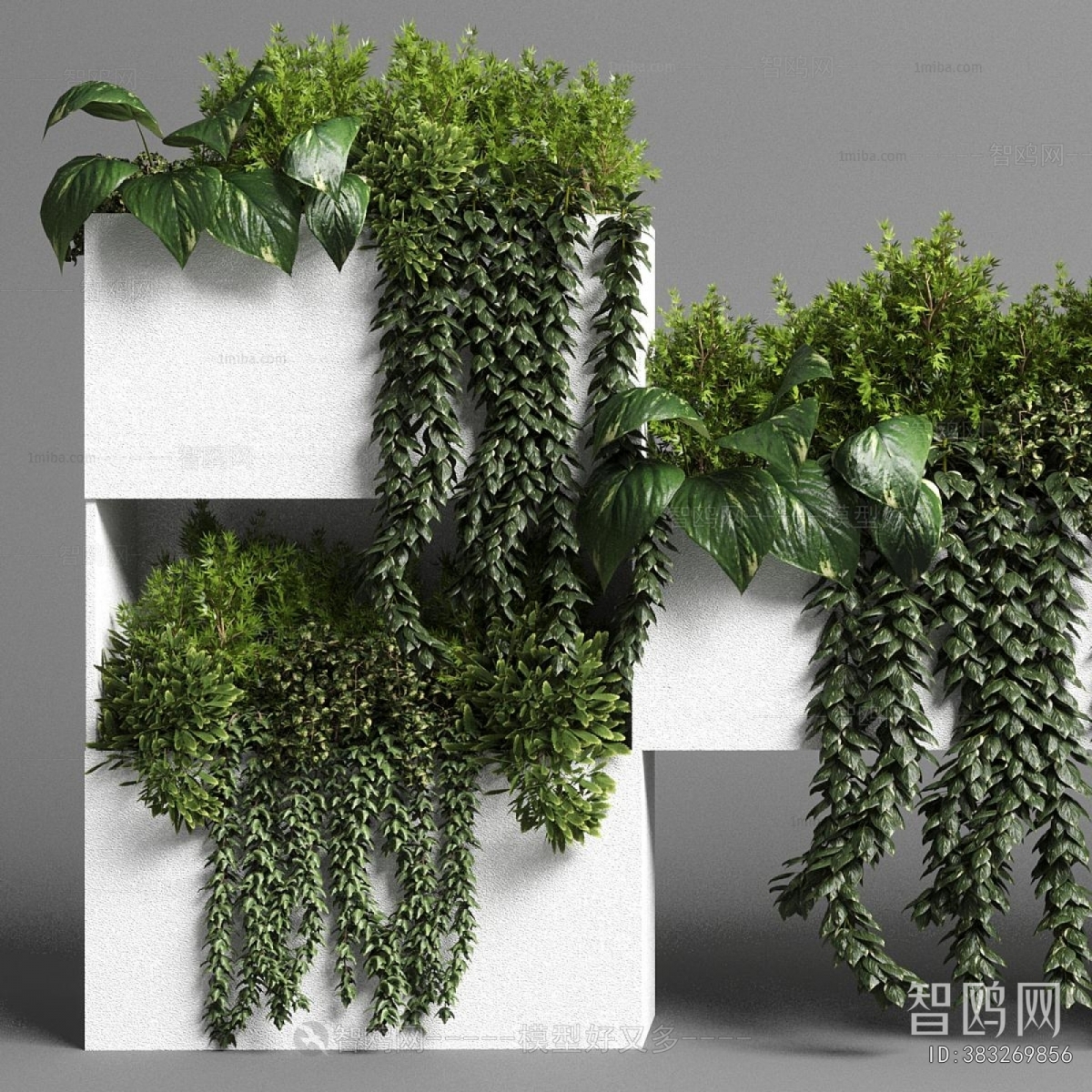 Modern Shrubbery