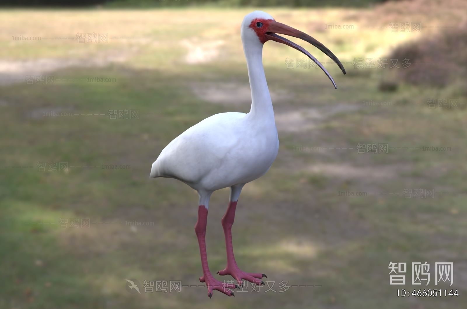 Modern Flying Animals