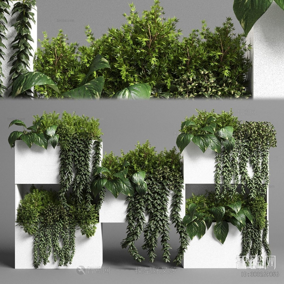 Modern Shrubbery