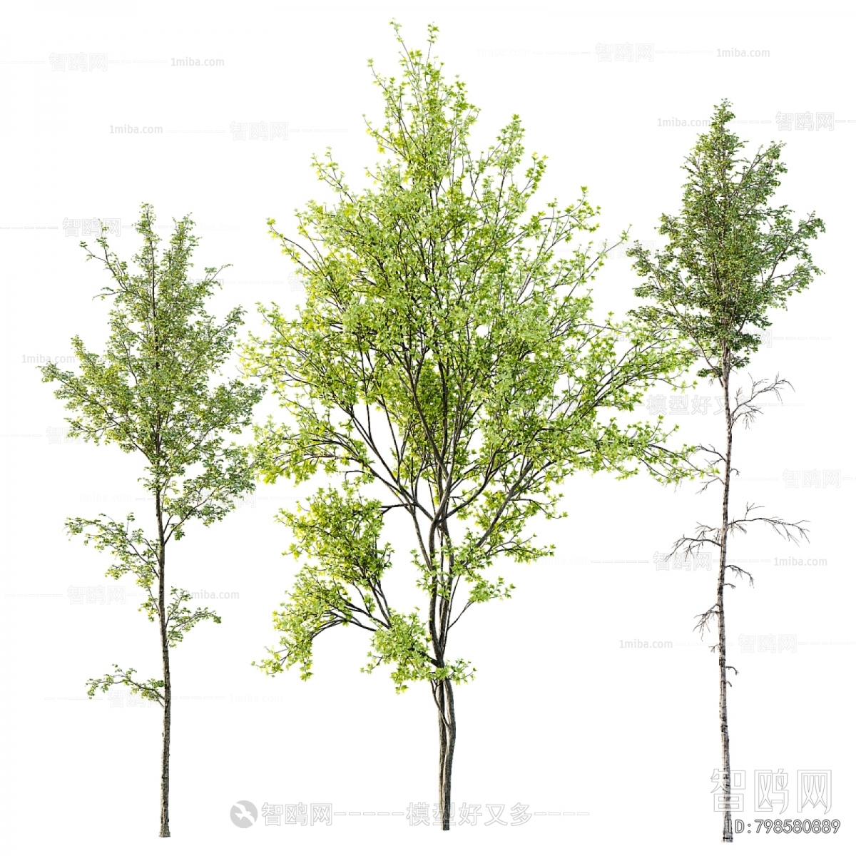 Modern Tree