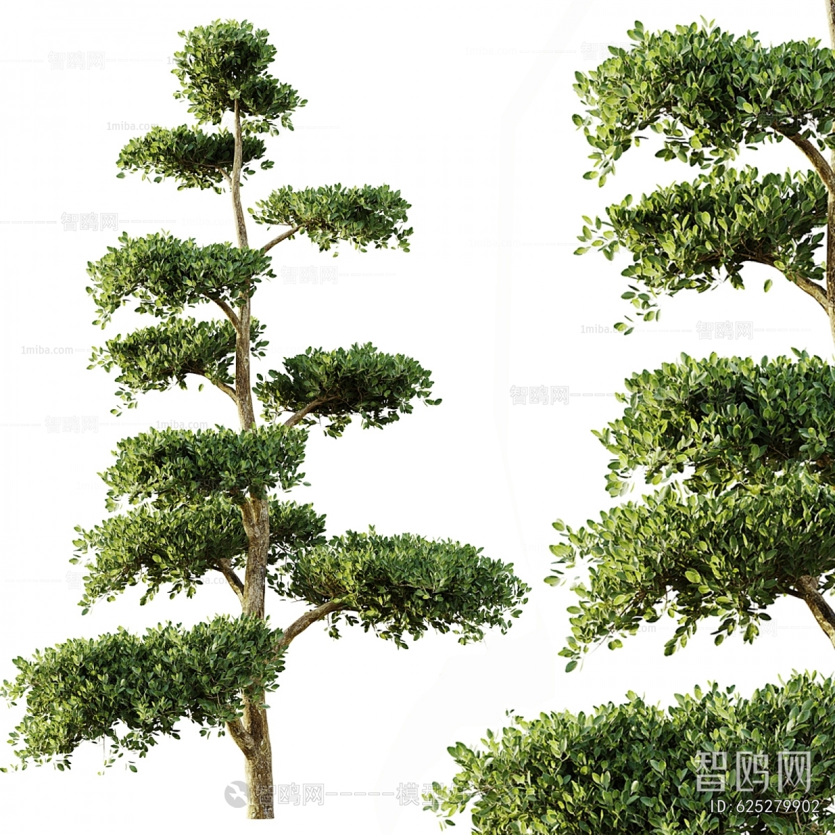 Modern Tree