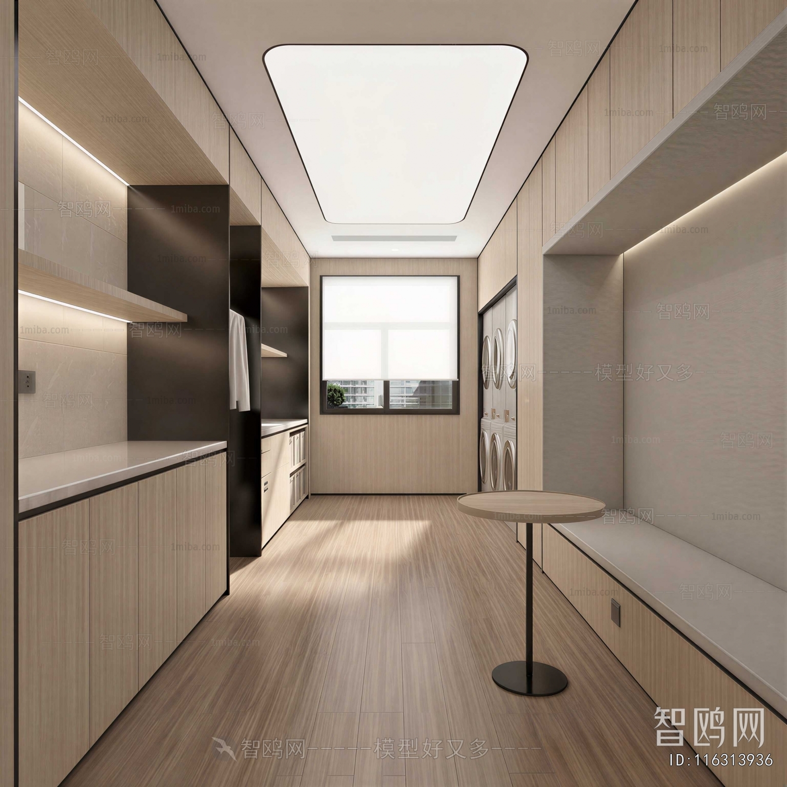 Modern Balcony Laundry Room