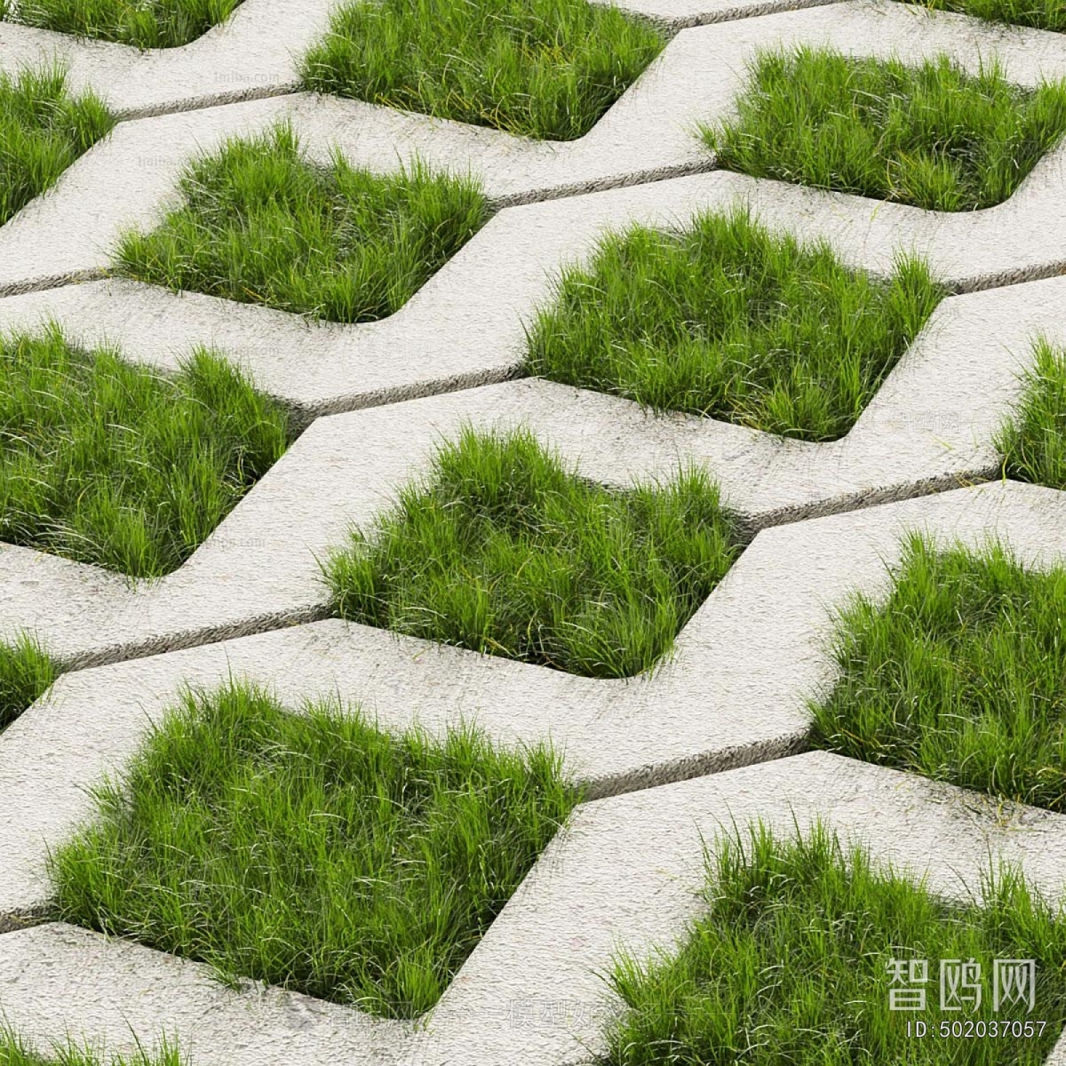 Modern Ground