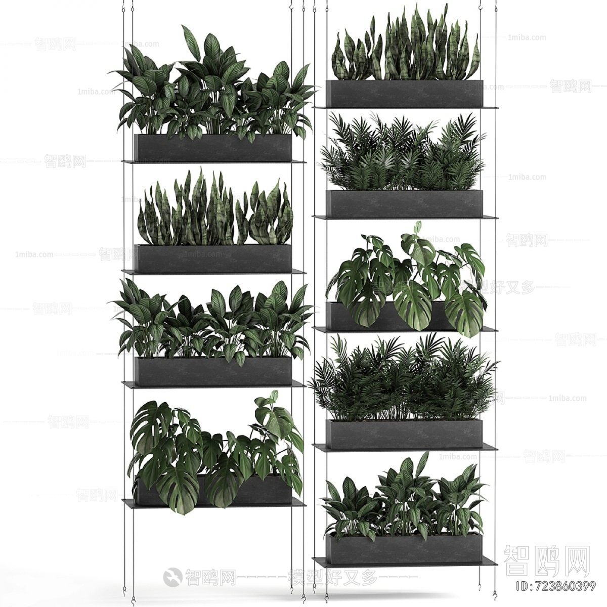 Modern Shrubbery