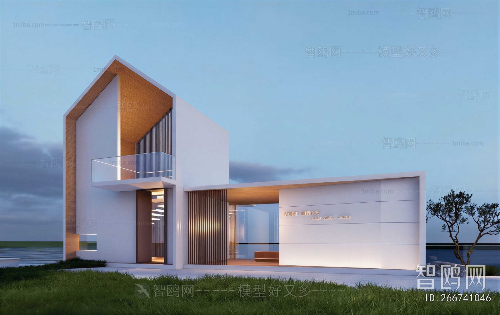 Modern Villa Appearance