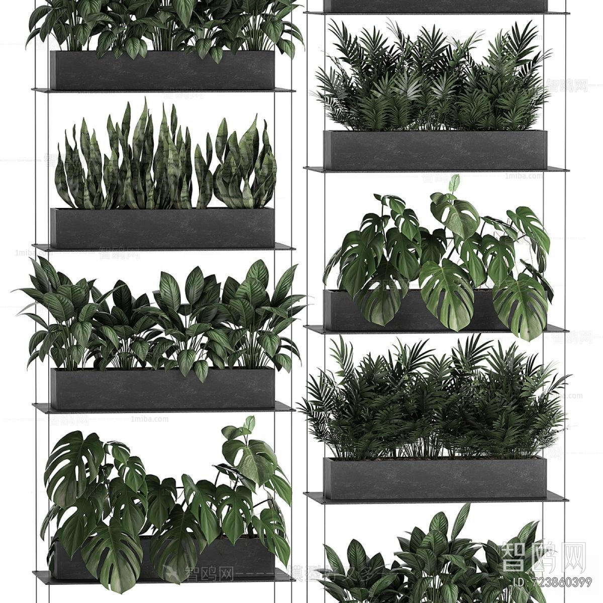 Modern Shrubbery