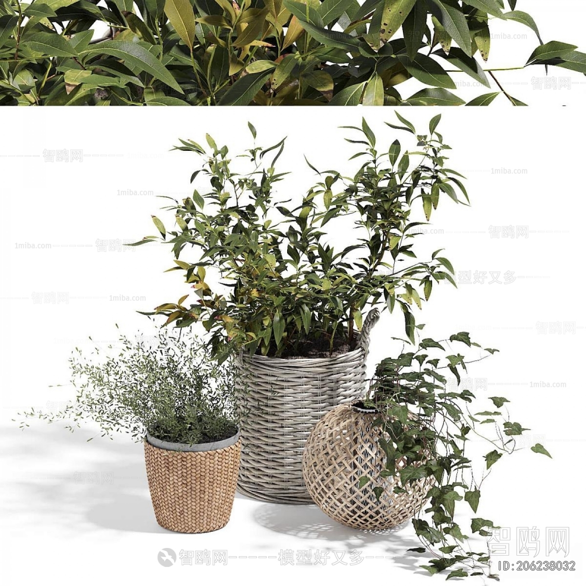 Modern Ground Green Plant Potted Plants