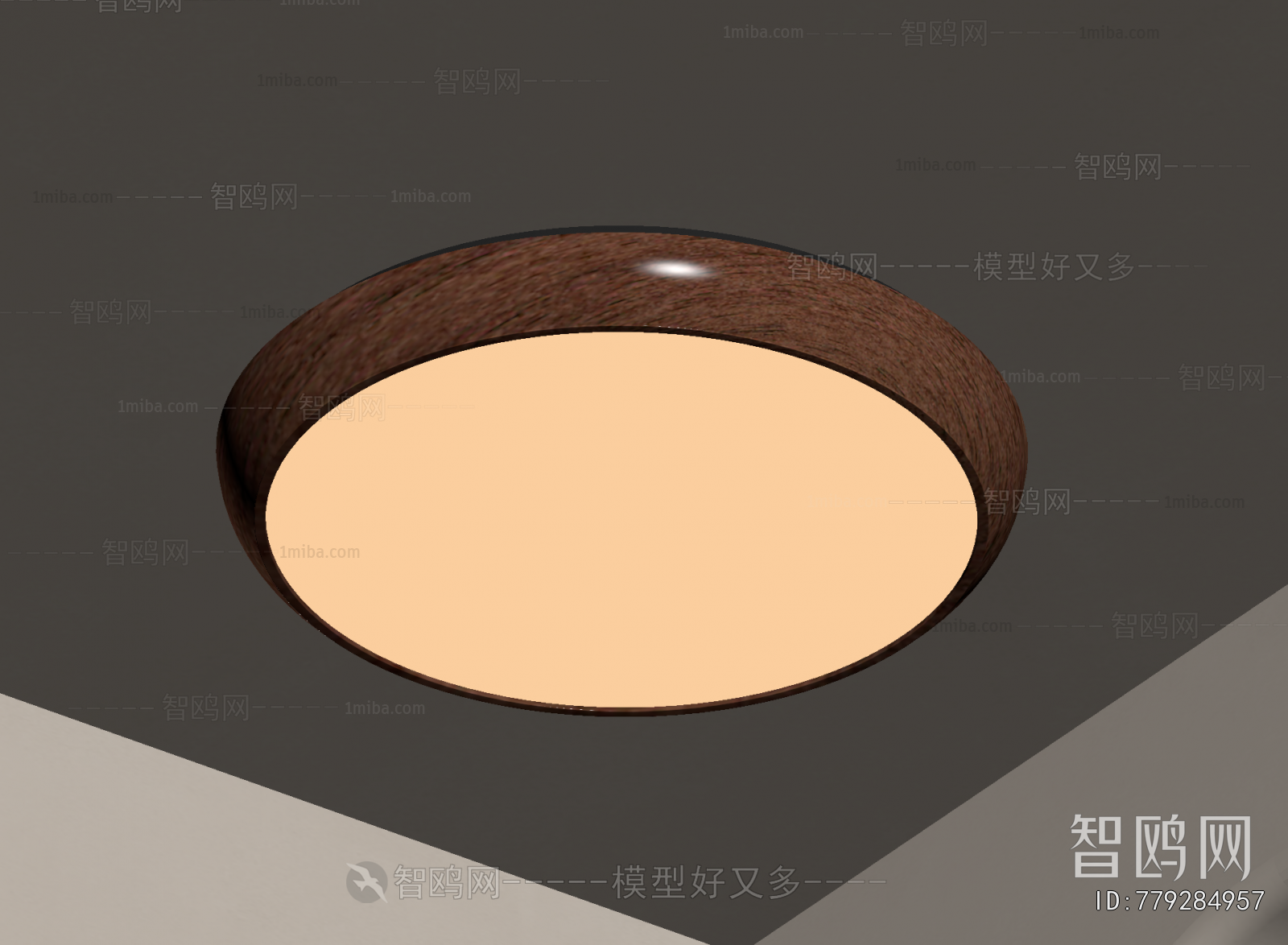 Modern Ceiling Ceiling Lamp