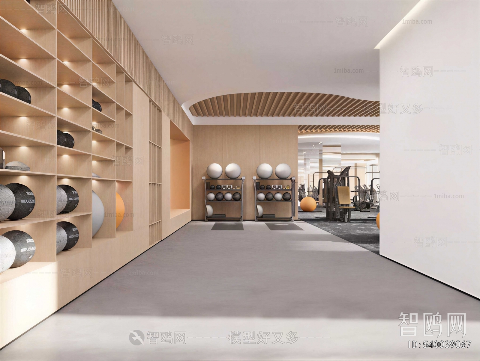 Modern Gym