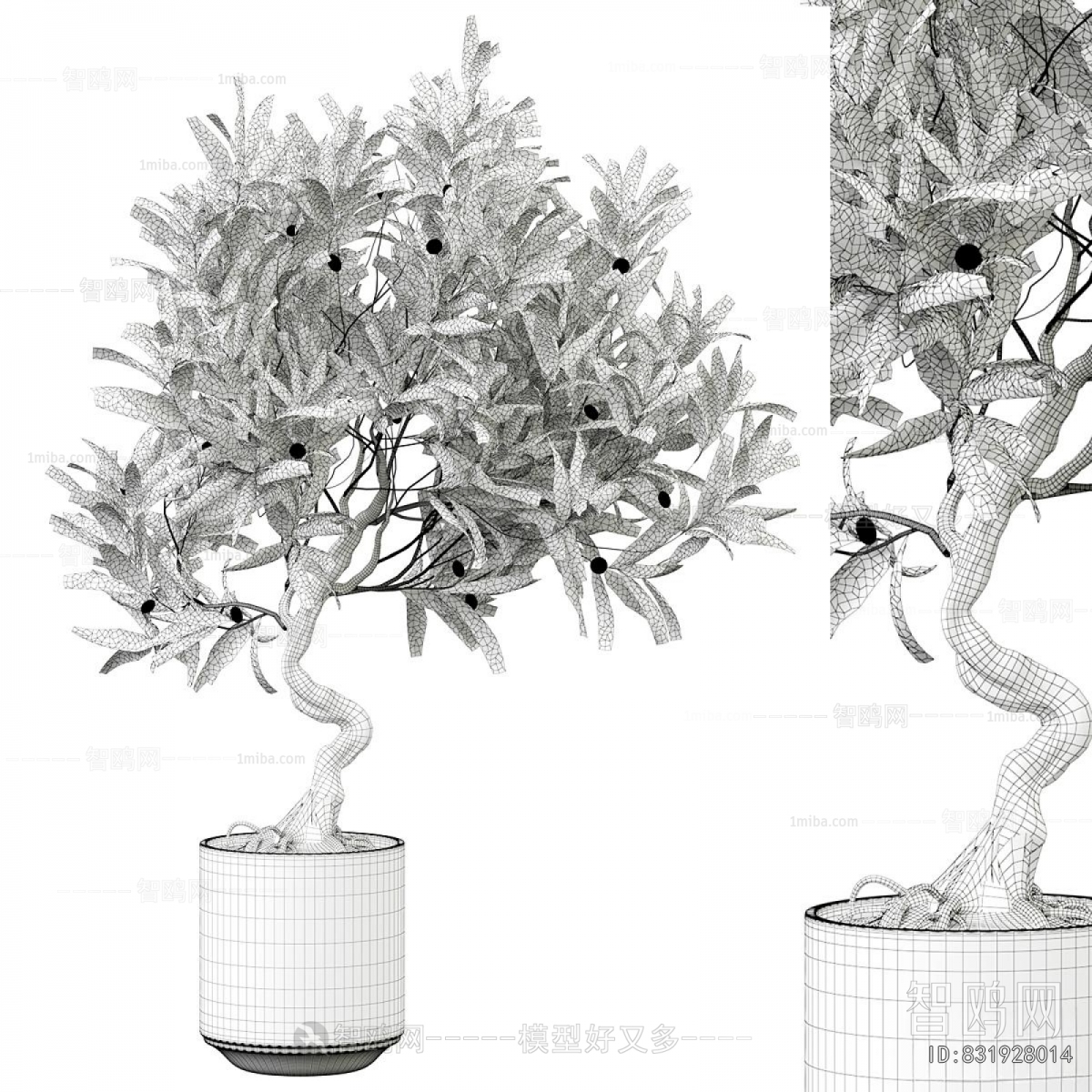Modern Ground Green Plant Potted Plants