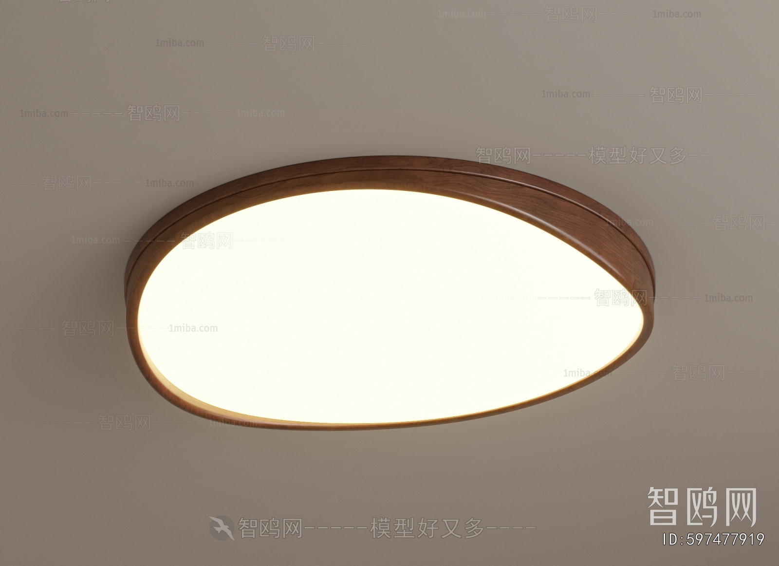 Modern Ceiling Ceiling Lamp