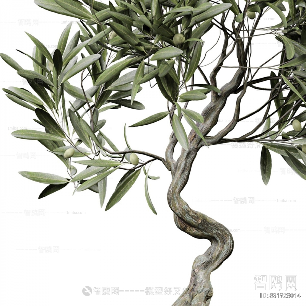 Modern Ground Green Plant Potted Plants