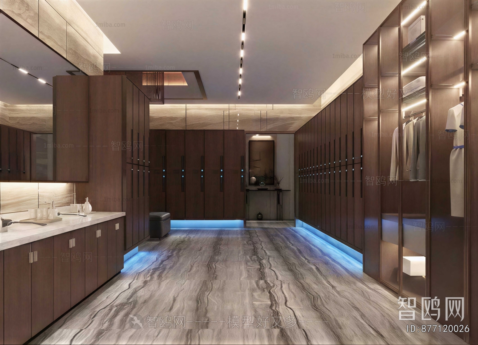 Modern Clothes Storage Area