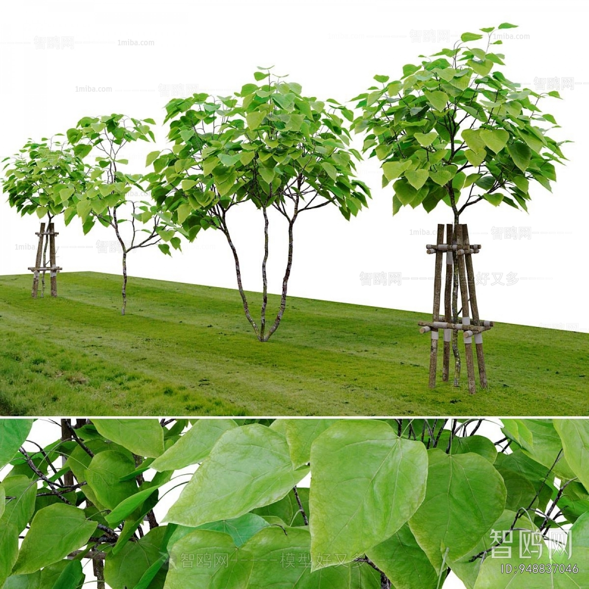 Modern Tree