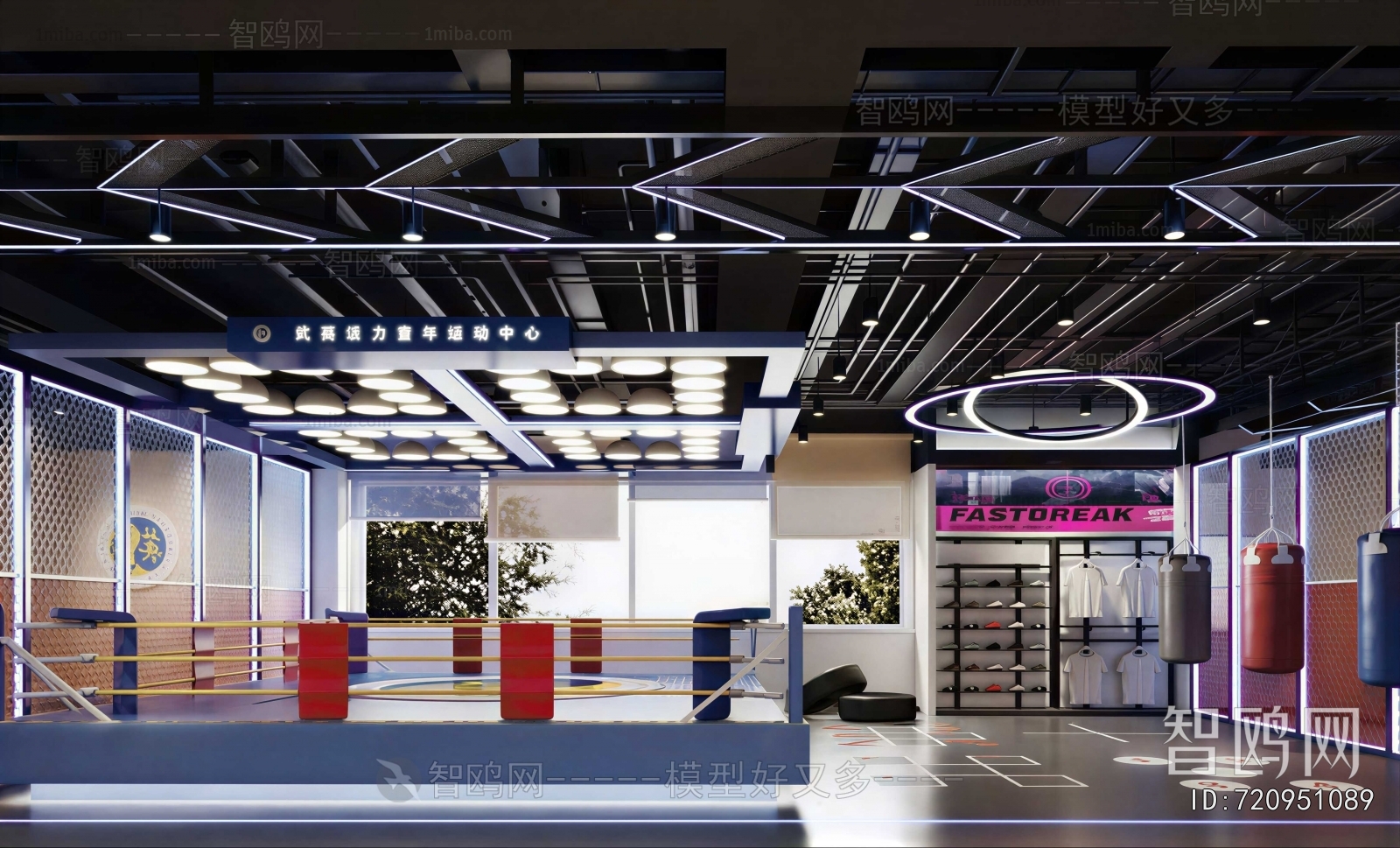 Modern Gym