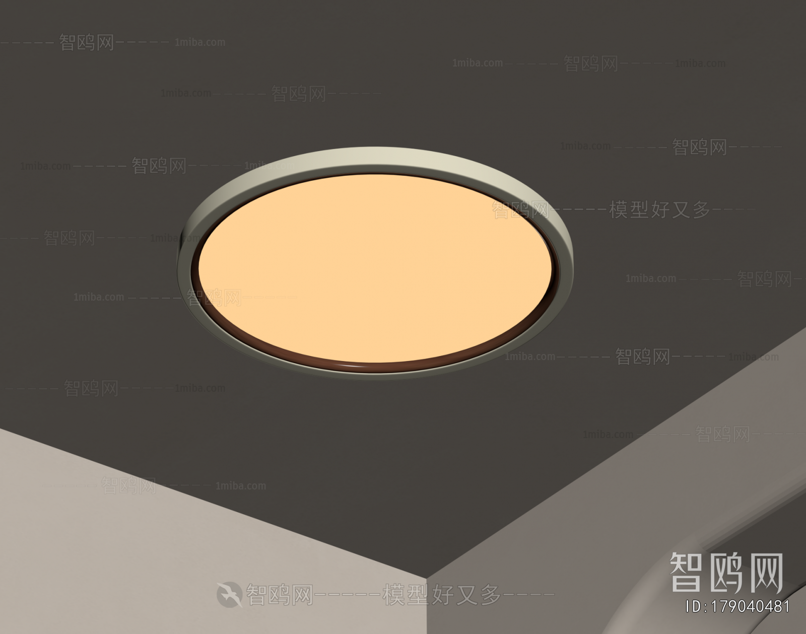 Modern Ceiling Ceiling Lamp