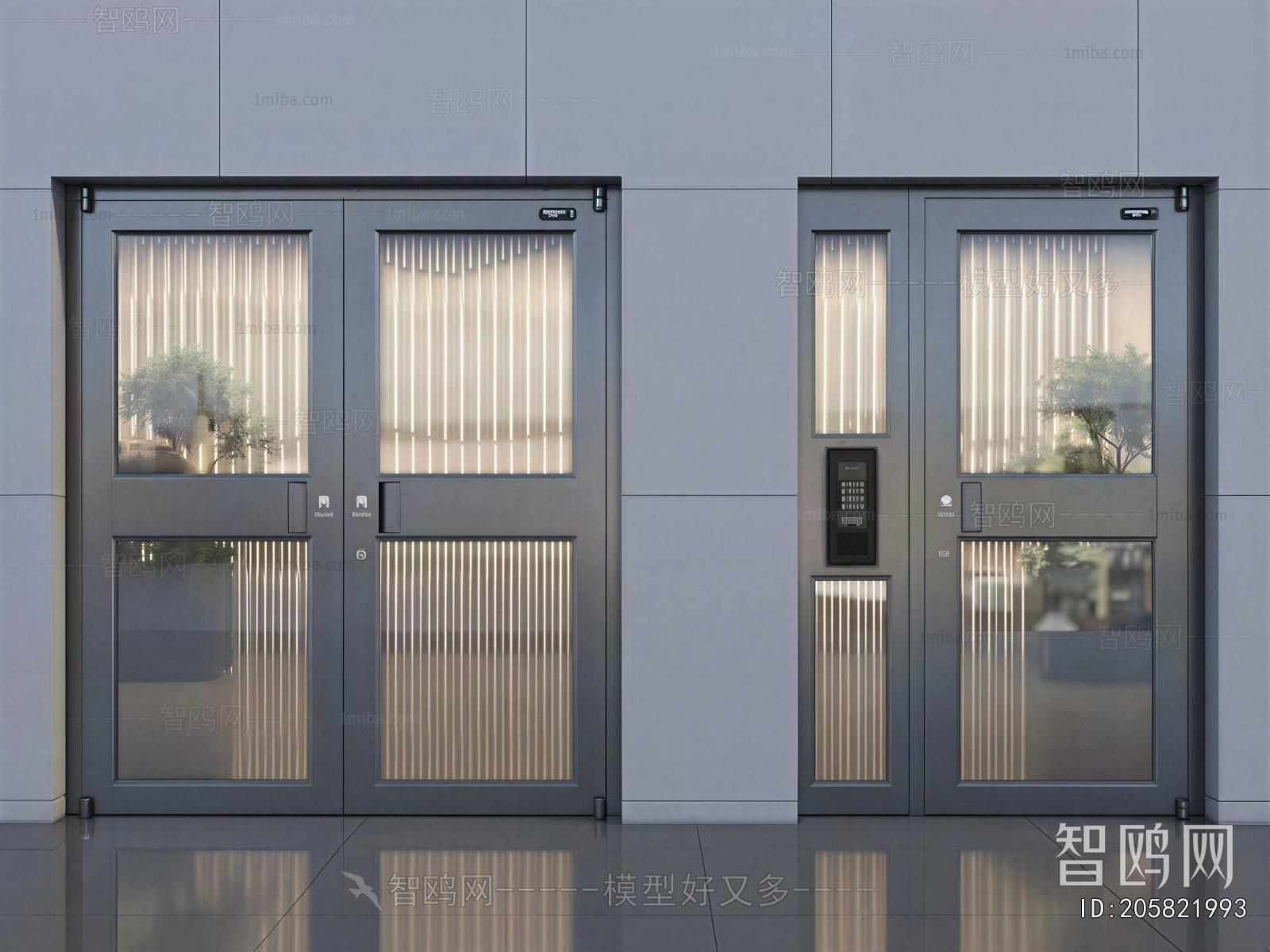 Modern Entrance Door