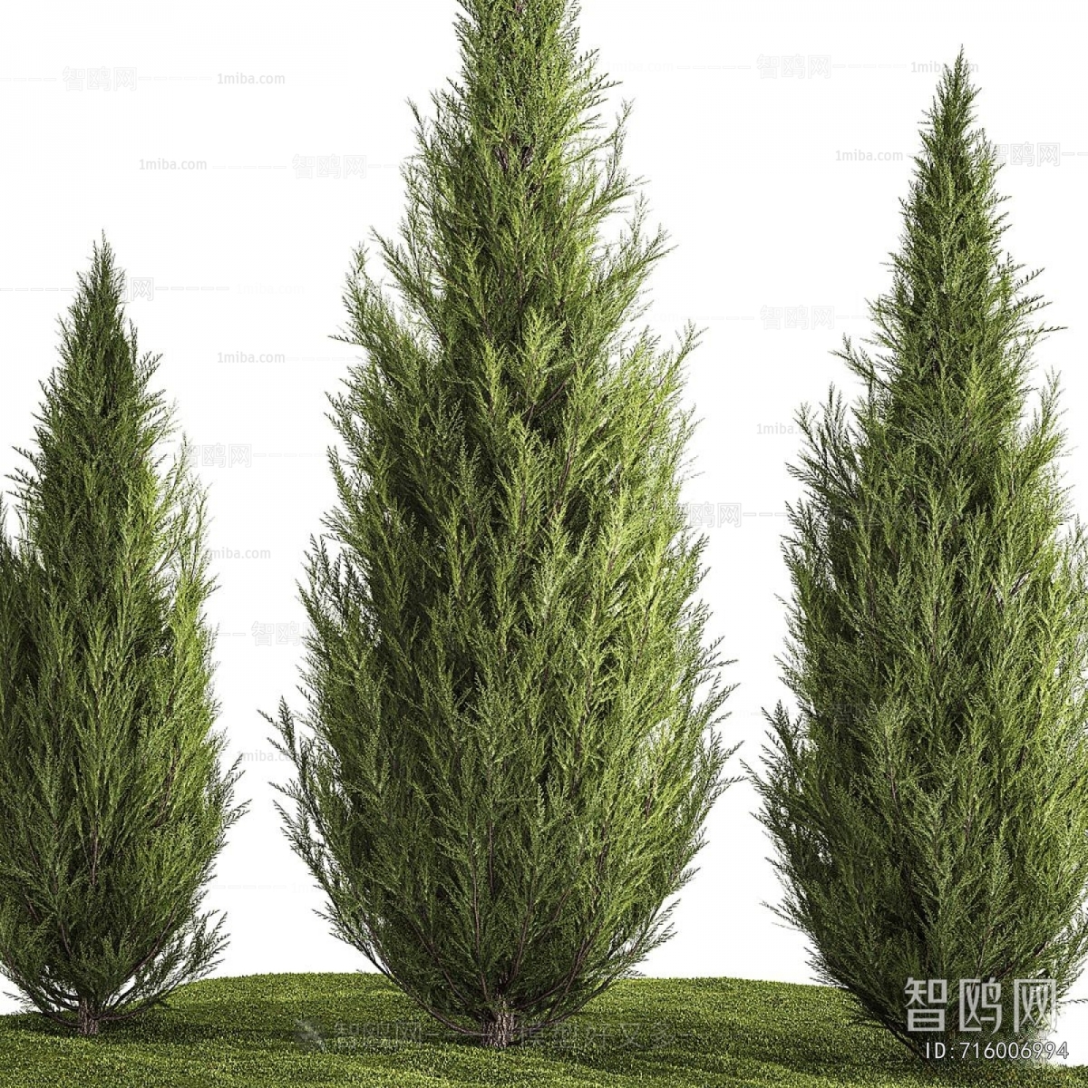 Modern Tree