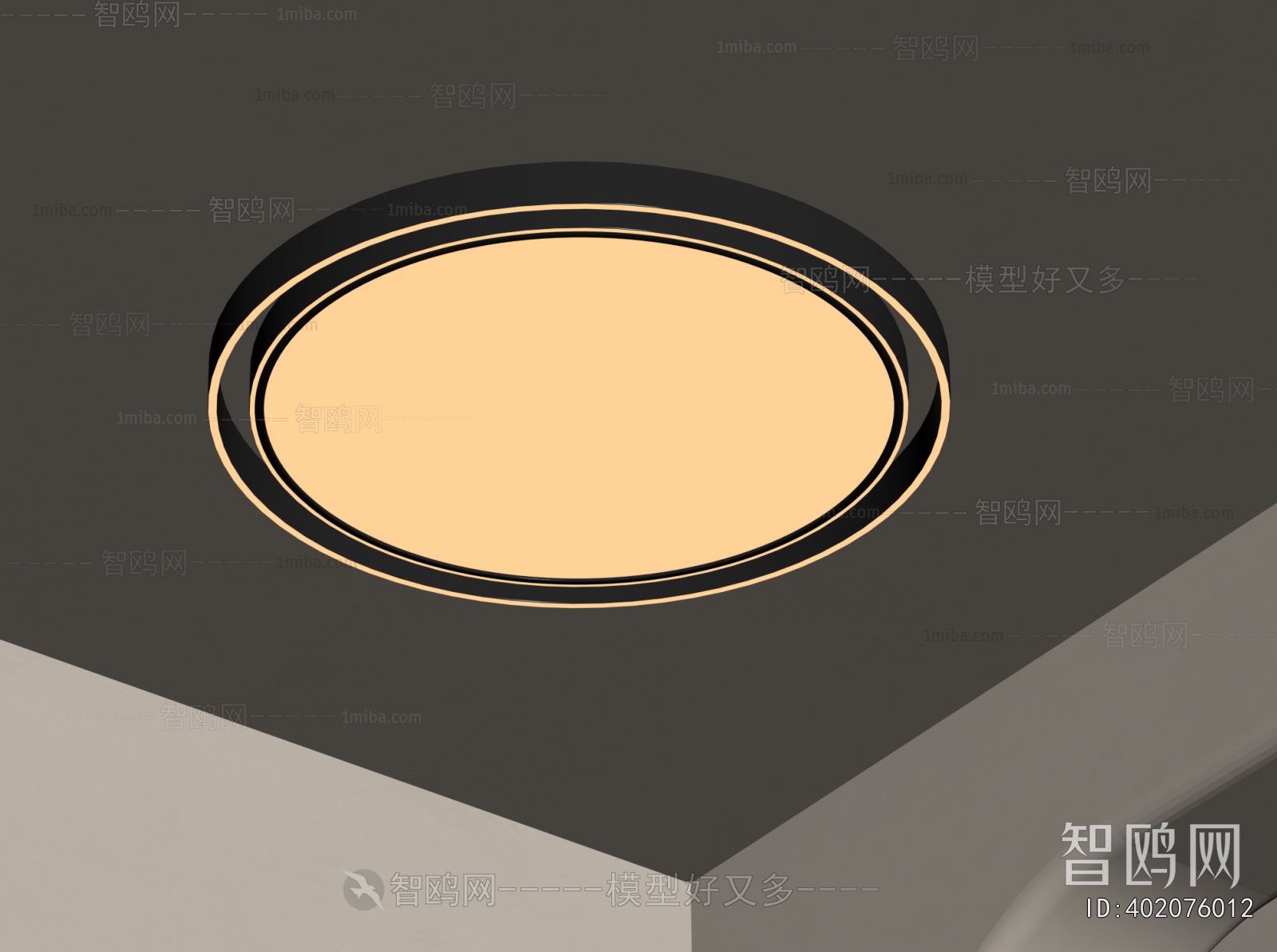 Modern Ceiling Ceiling Lamp