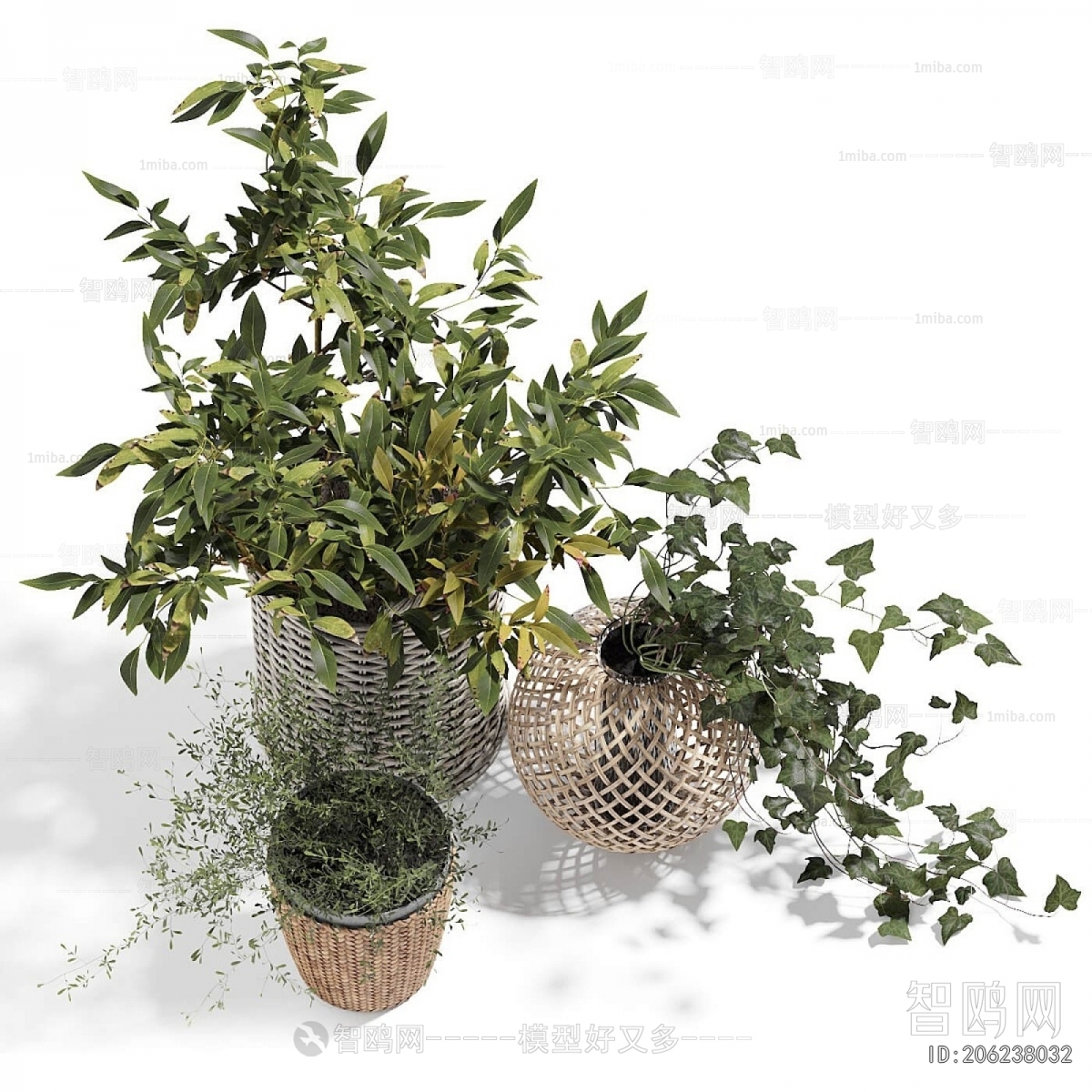 Modern Ground Green Plant Potted Plants