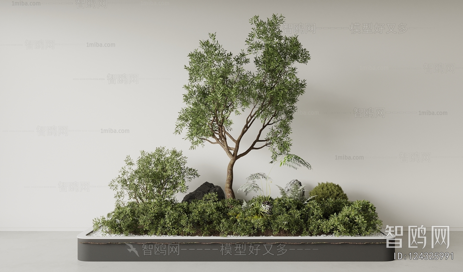 Modern Plant Landscaping