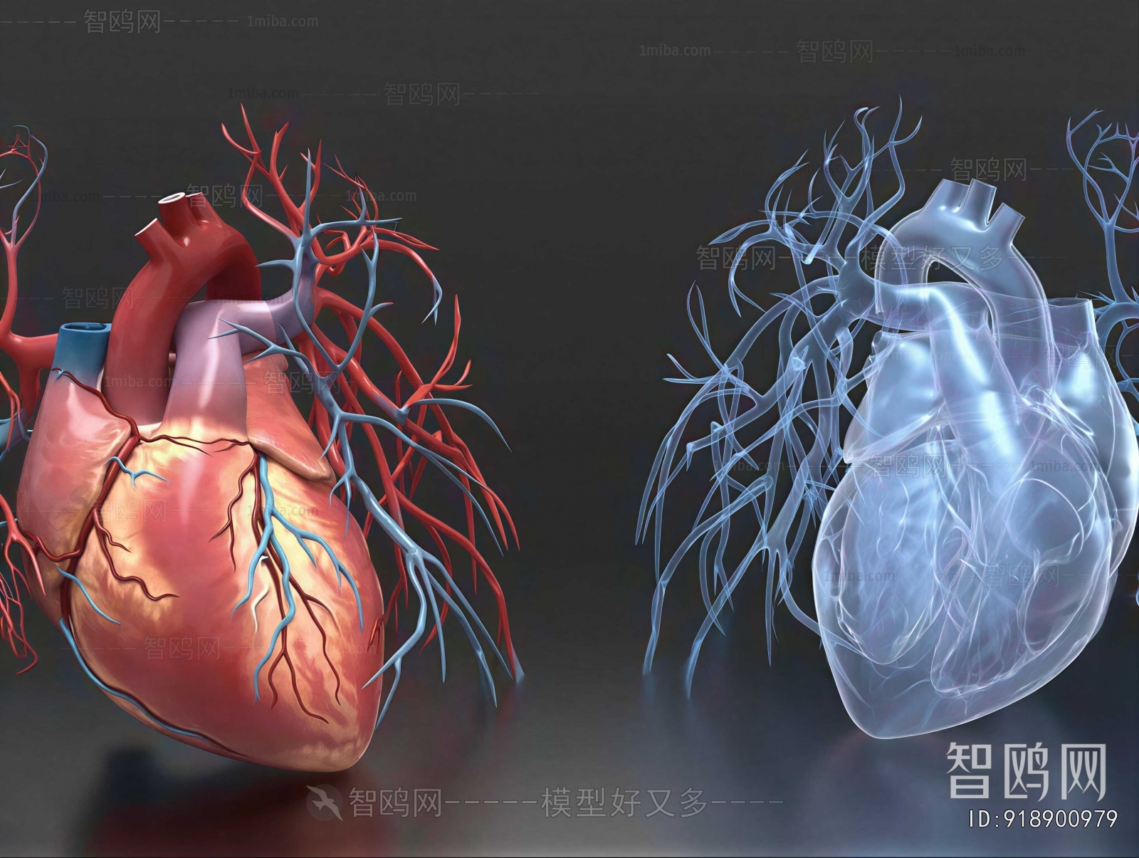 Modern Medical Equipment