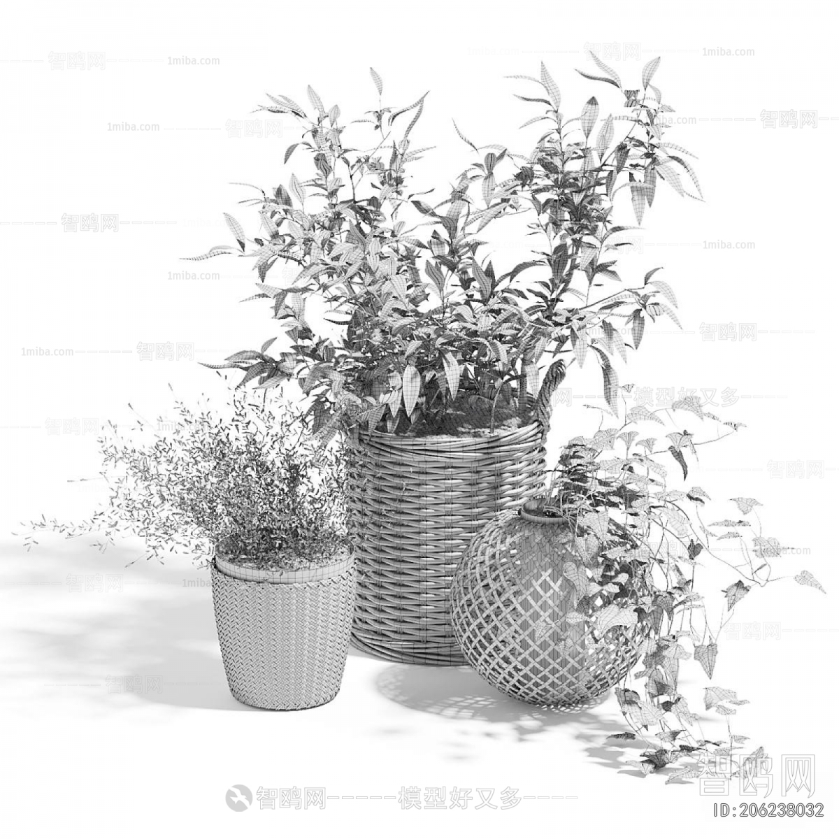 Modern Ground Green Plant Potted Plants