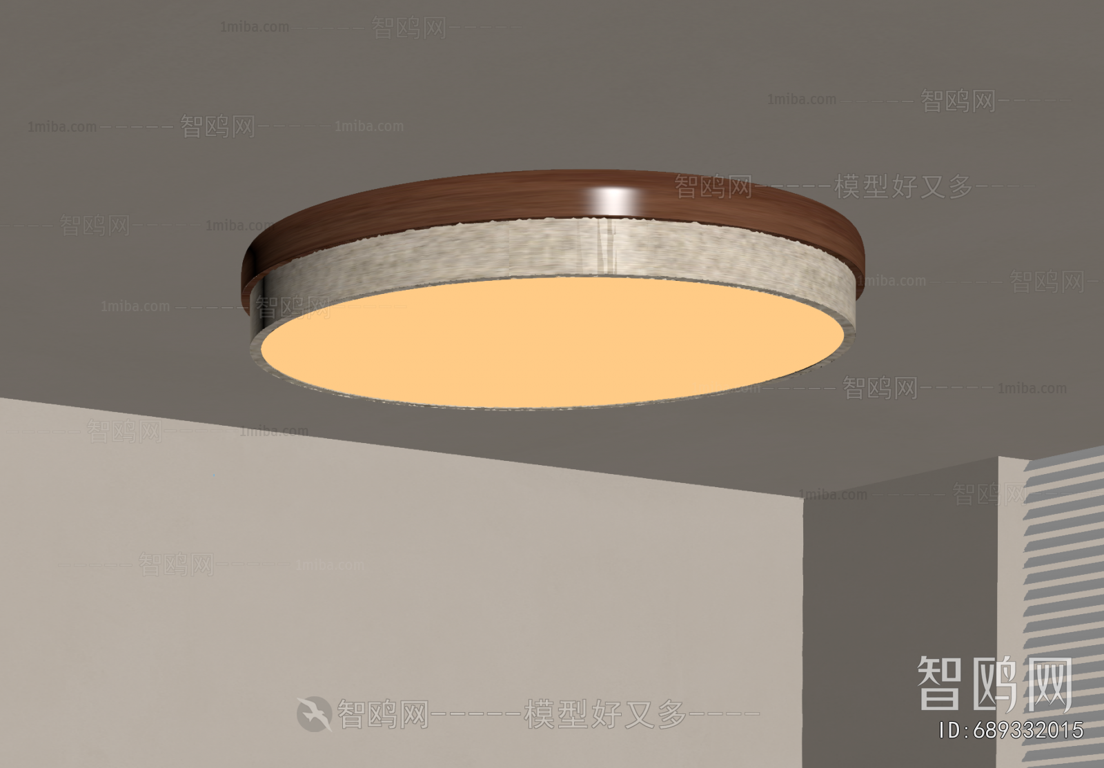 Modern Ceiling Ceiling Lamp